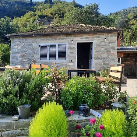 Villa Bujtina Lugina E Vjoses Përmet Esterno foto