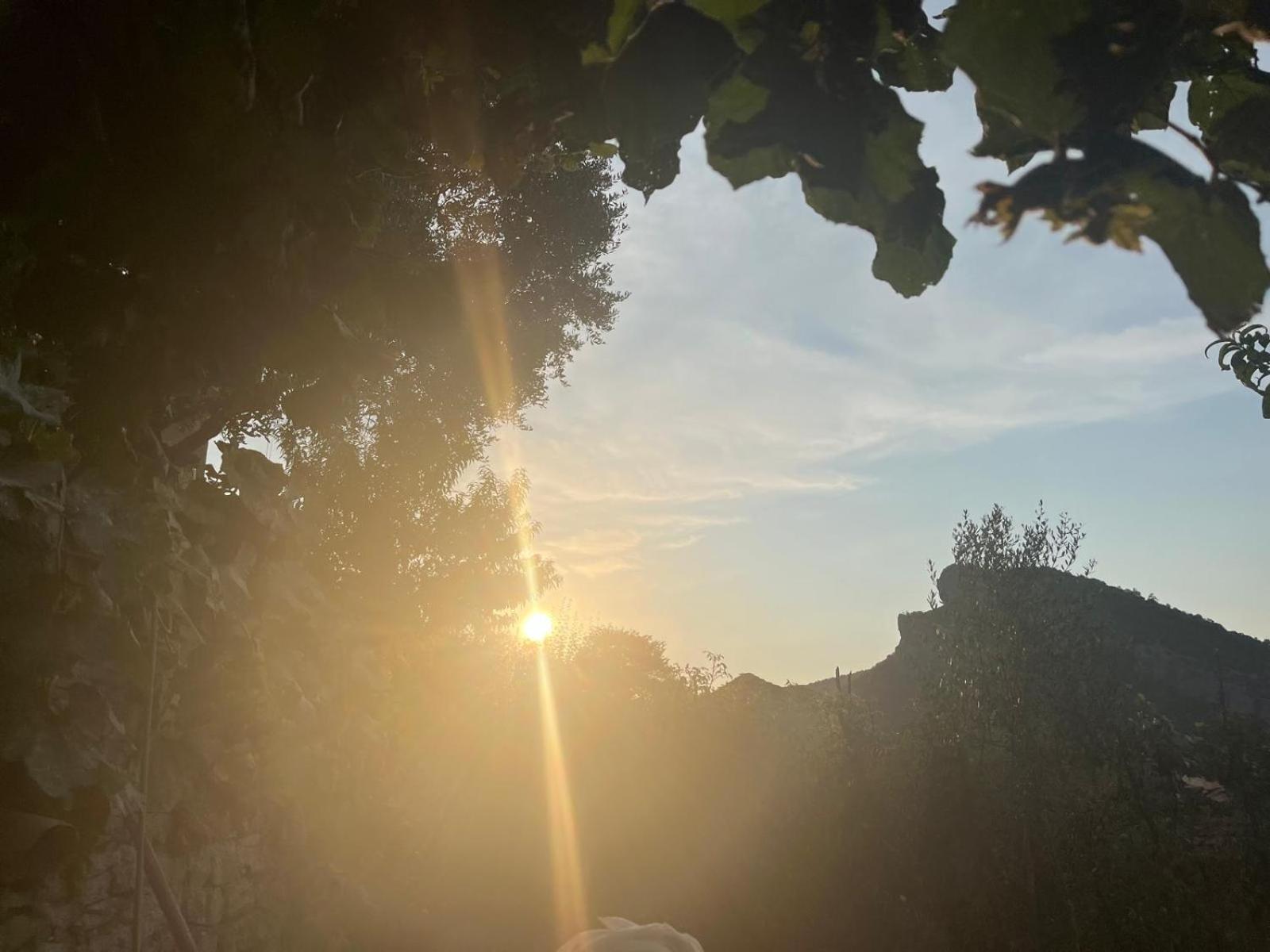 Villa Bujtina Lugina E Vjoses Përmet Esterno foto